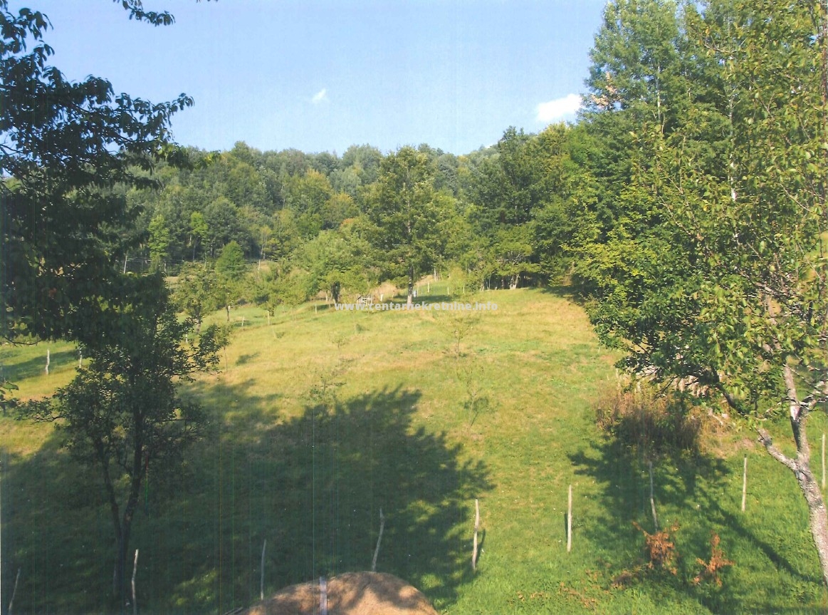 For sale, property 10.000m2, Drpe, Kolašin